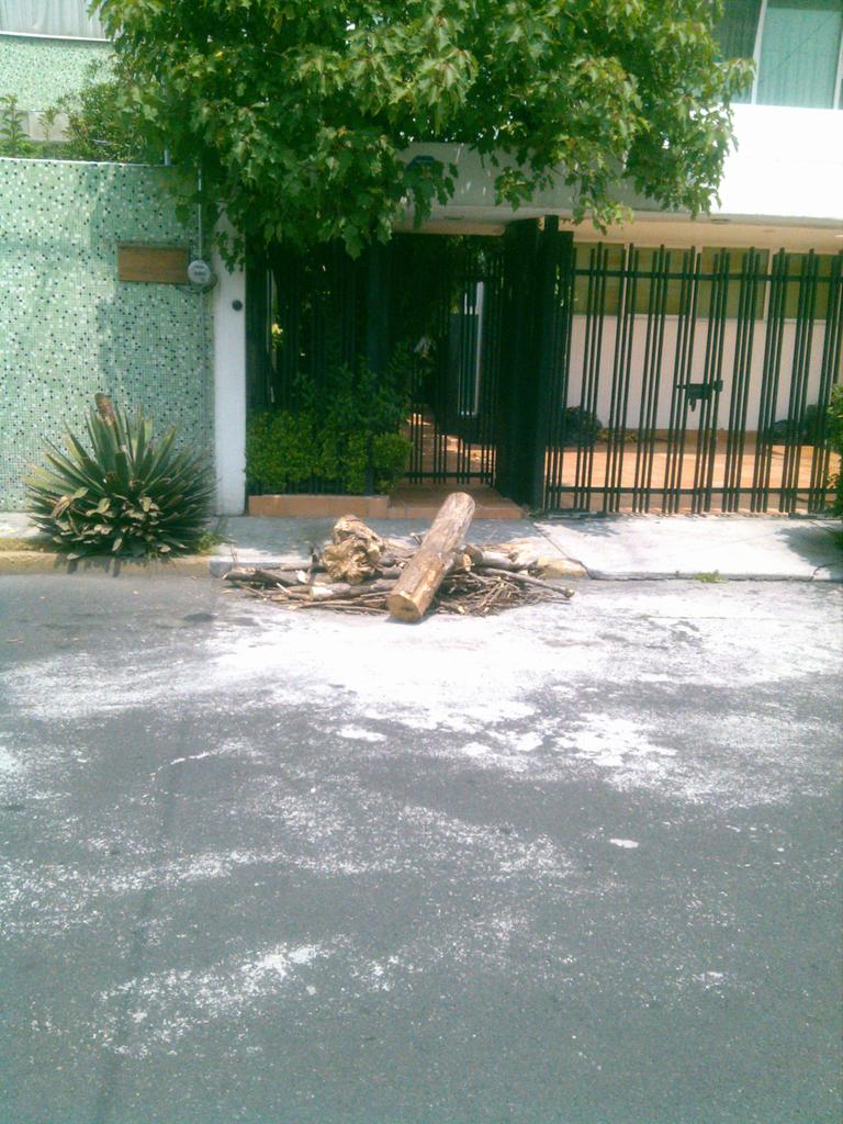 PepeScali's tweet photo. @072CDMX restos de árbol en playa copacabana 161 col.  Militar Marte en @iztacalcoXti llevan mas de 1 mes... http://t.co/v1ZgnnJHYE