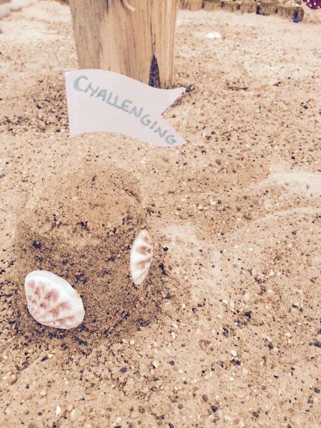 lauracole_'s tweet photo. Sandcastles! #5Values #lovemyjob #mencap #summerfun @wjaspinall @555molly @mencap_charity @seqsalmon http://t.co/sFVGla1HKT