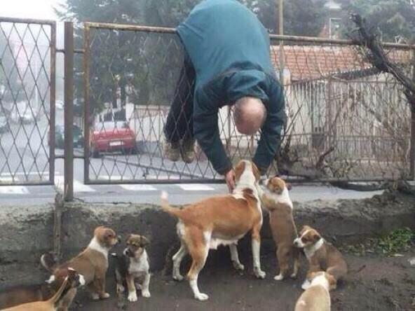 incredibleviews's tweet photo. Me when I see dogs http://t.co/pP16lbFDz6