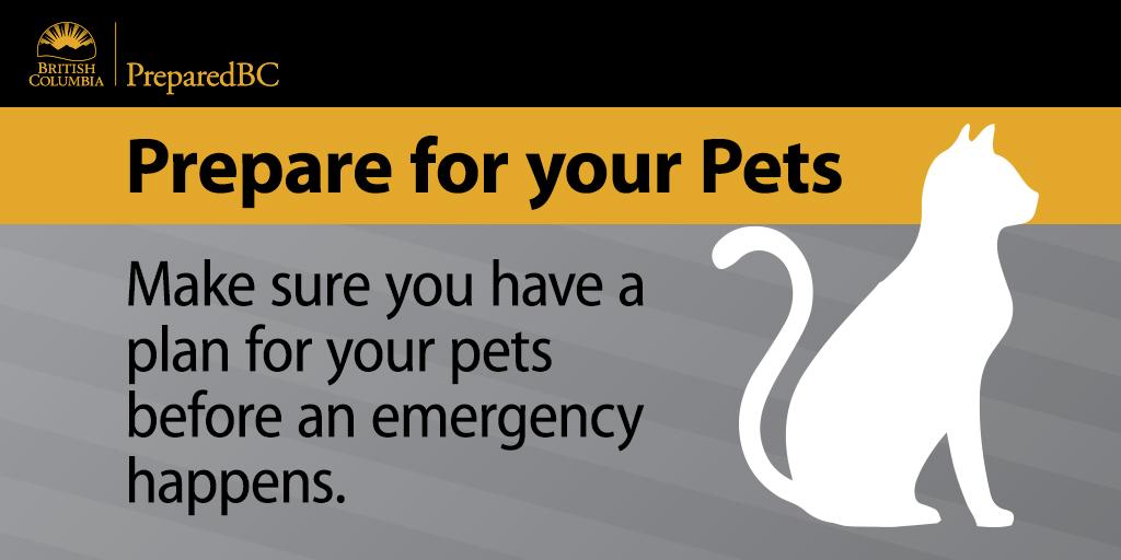 Pets are part of the family. Add them to your disaster plan. #PreparedBC #PreparedPets