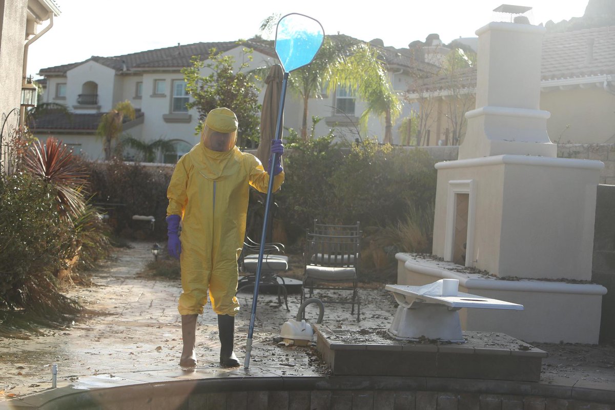 Last Man On Earth tweet media