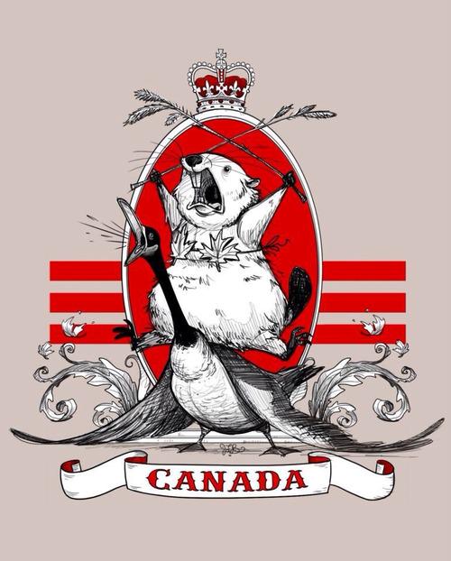 HAM_STRONG's tweet photo. Did everyone have an awesome #CanadaDay? http://t.co/r1pPYpss4D