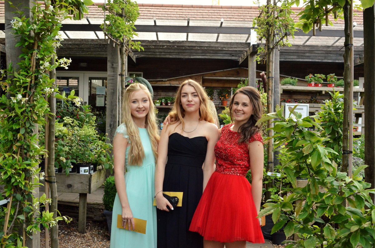 corfe15's tweet image. 