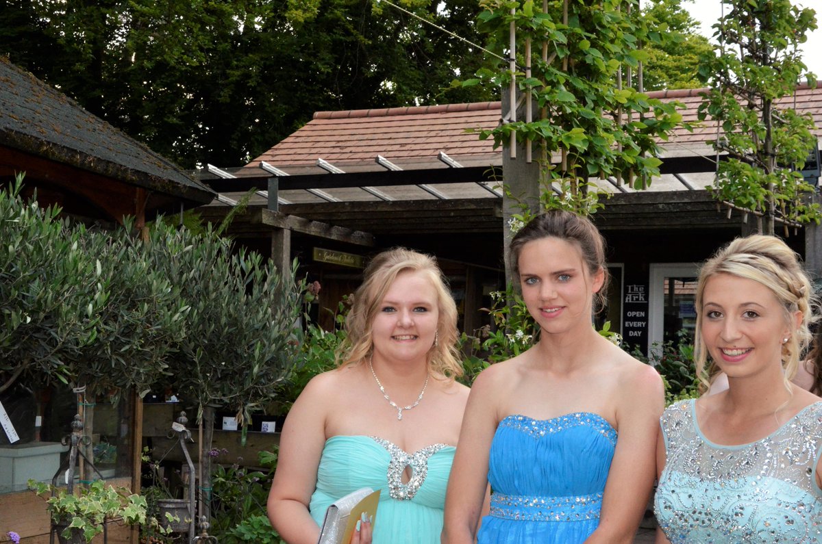 corfe15's tweet image. 