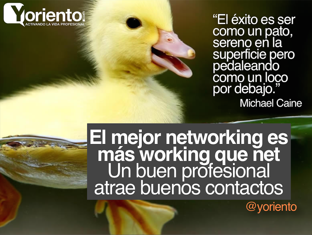 TalentsPharma's tweet image. RT @Yoriento: Mejor networking es +working q net. Buen #socialnetworker atrae buenos contactos yoriento.com/2012/10/14-ide…