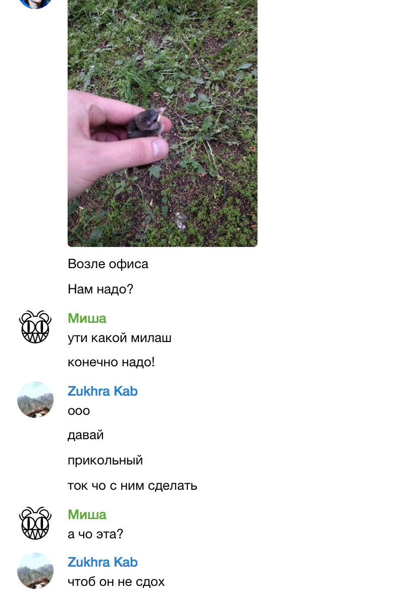 З – Забота
