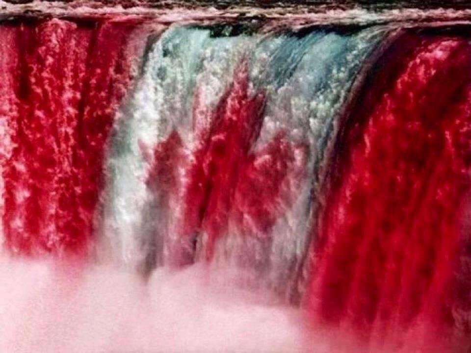 SkogCarla's tweet image. HAPPY BIRTHDAY #CanadaDay2015 !