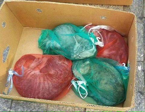 .<a href="/ispark0530/">박인숙</a> unhygienic &amp; cramped conditions for cats too - boiled in the bag #StopBoknal2015 Cat Juice