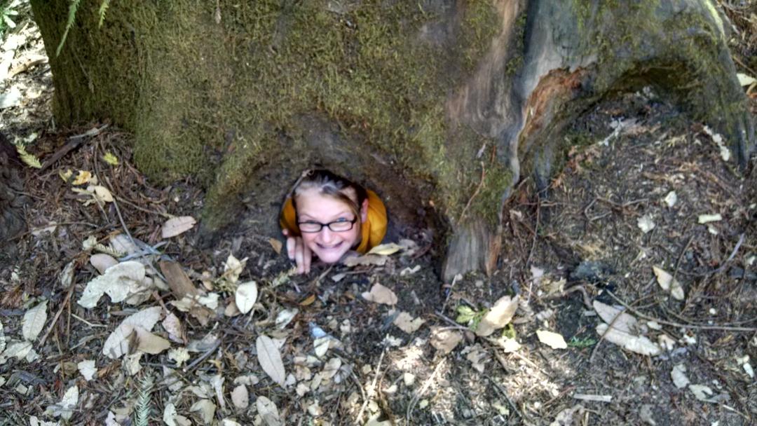 CSExchange's tweet image. How did she get in there?