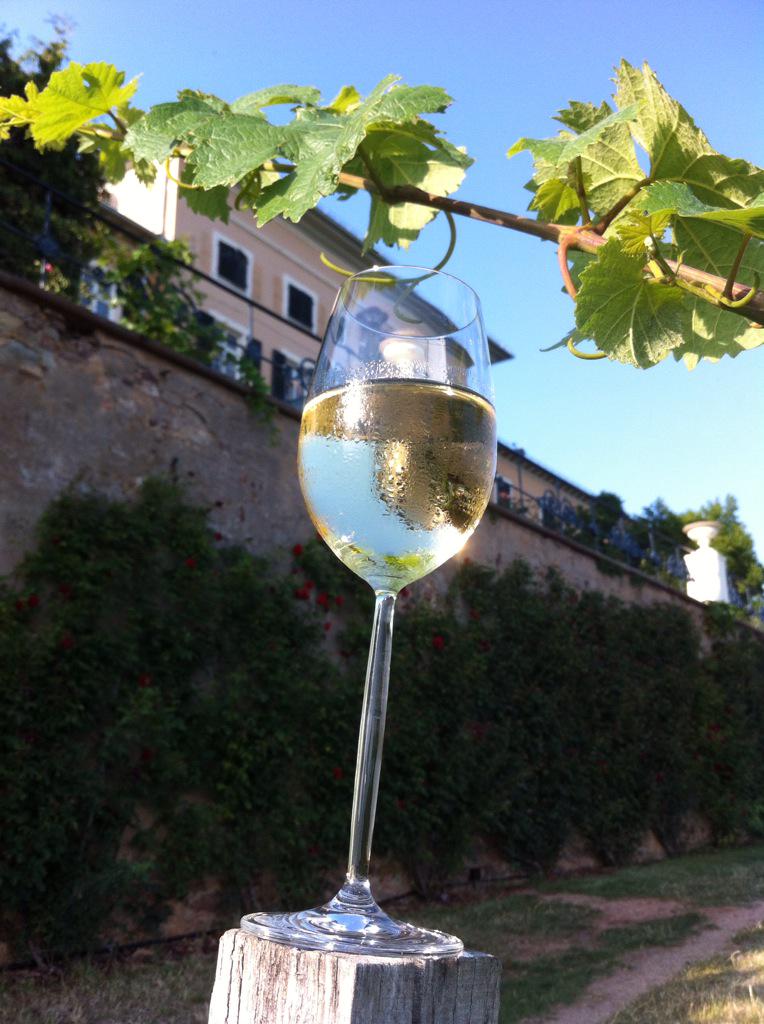 Kurz vor einem unglaublichen Konzert der #nilslandgren allstars beim #rheingaumusikfestival auf #Schlossjohannisberg