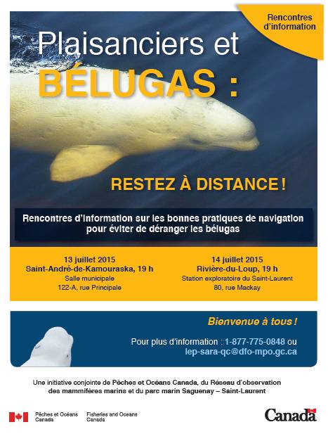 Rencontres d'info gratuites pour plaisanciers au sujet des #bélugas #plaisanciers @AMQ_nautismeQc <a href="/BaleineMagazine/">Baleines en direct</a>