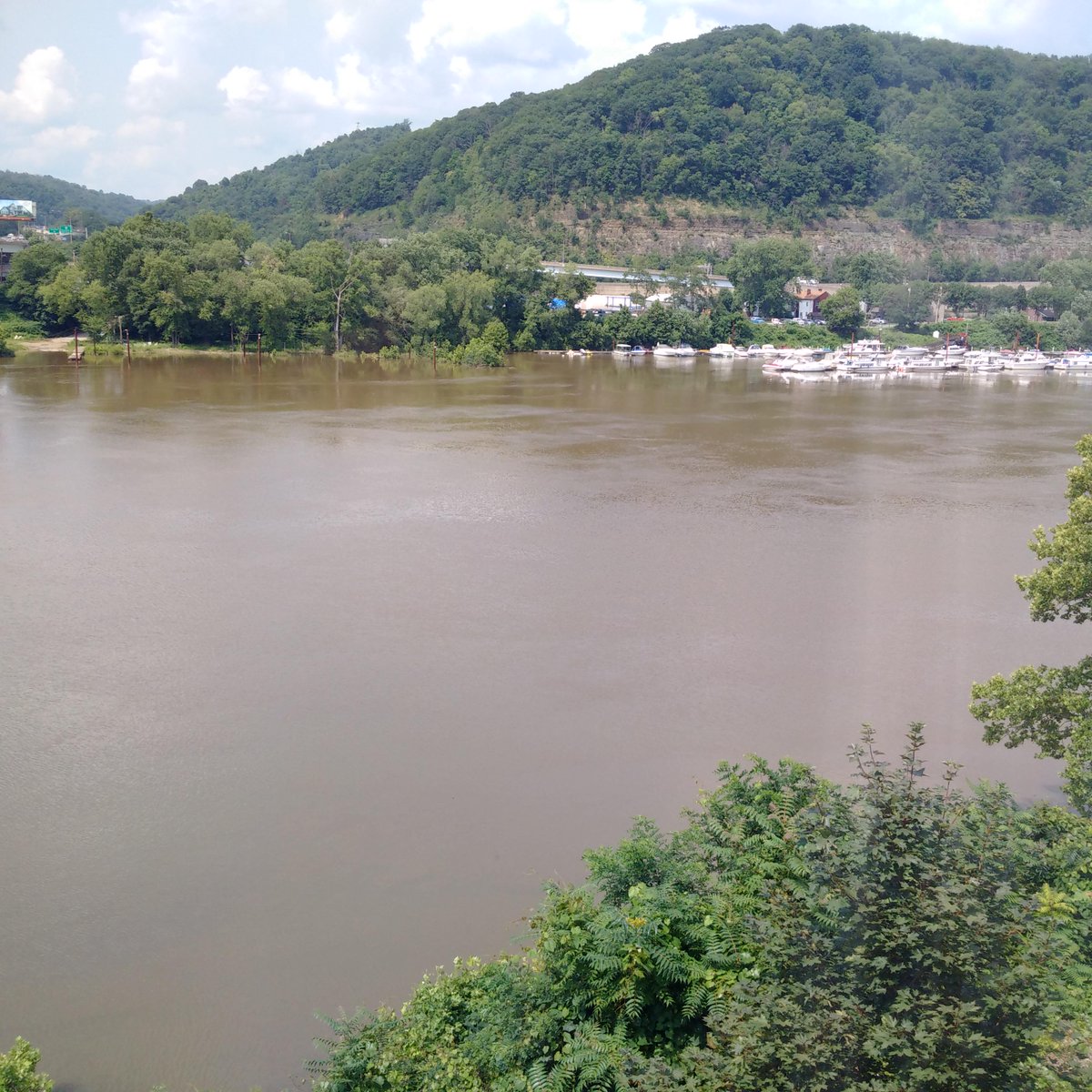 Arthur Argonauts tweet media