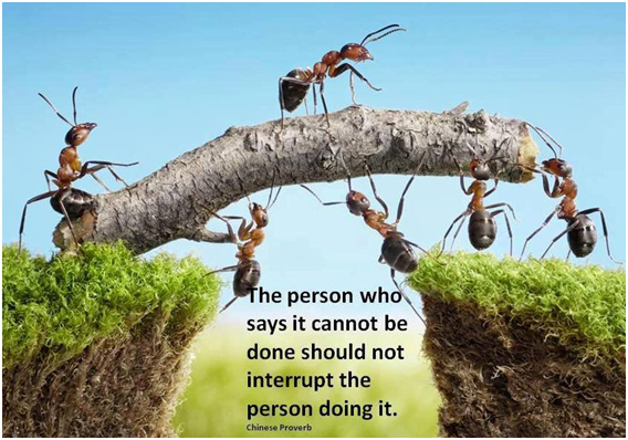 LifeForceChiro's tweet photo. http://t.co/F2qUvnH3cQ