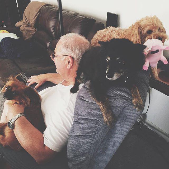 Just a dude and his (grand)dog(s).💘 #daddylumpkins #socute ift.tt/1UeIp3A