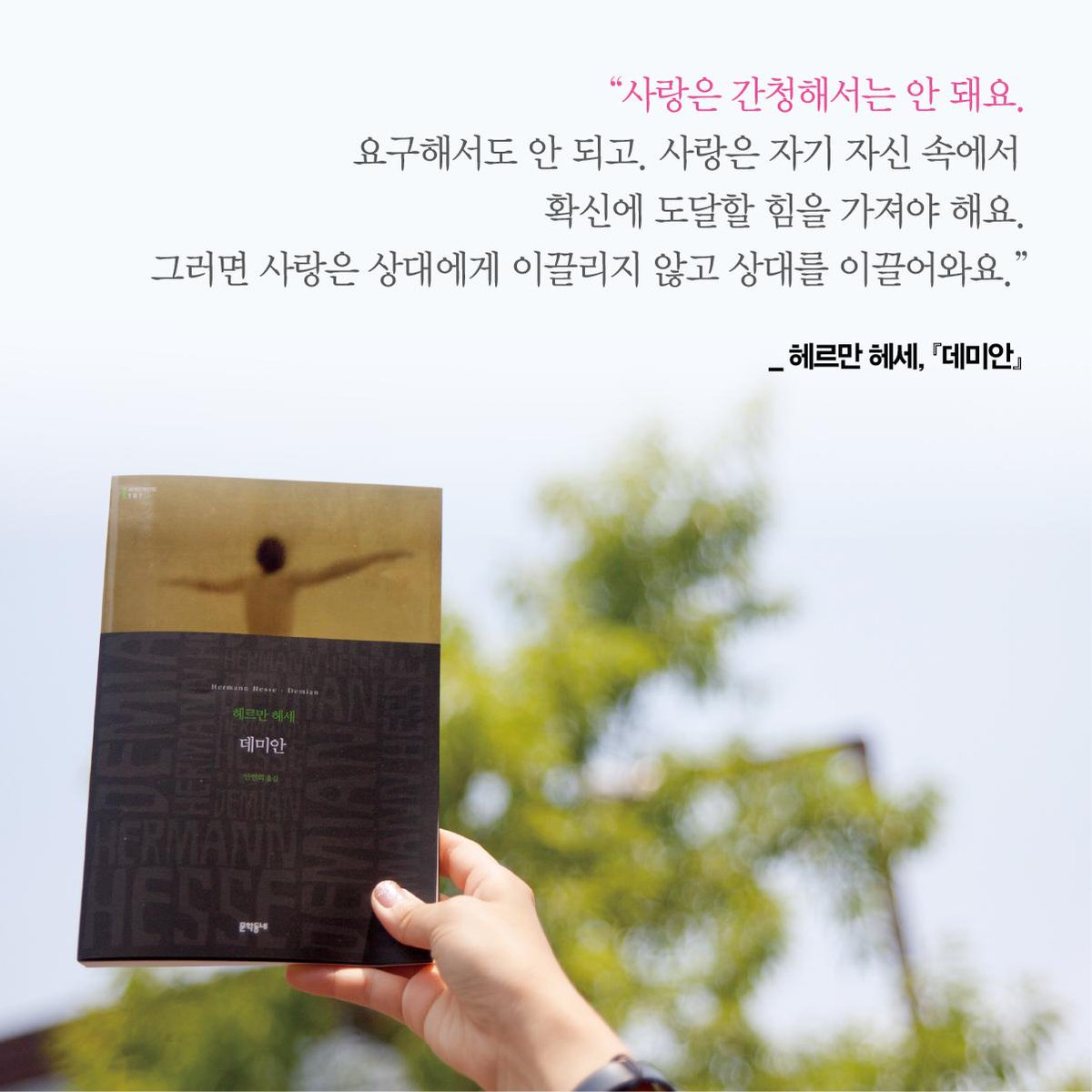 a_book_with_you's tweet photo. "사랑은 간청해서는 안 돼요. 요구해서도 안 되고. 사랑은 자기 자신 속에서 확신에 도달할 힘을 가져야 해요. 그러면 사랑은 상대에게 이끌리지 않고 상대를 이끌어와요." #헤르만헤세 #데미안 https://t.co/cJSgwTwu7l
