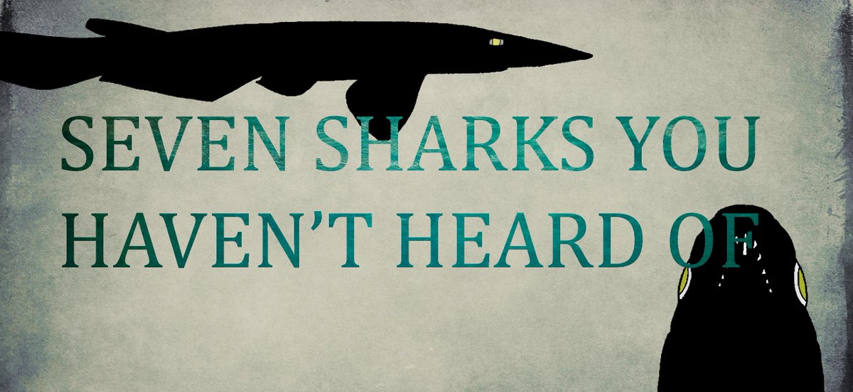 SharkUniversity's tweet photo. One #alienshark for each day of #sharkweek Do you think you know them? #sharks #aliensharks #takingbacksharkweek http://t.co/28aFIFNAvq
