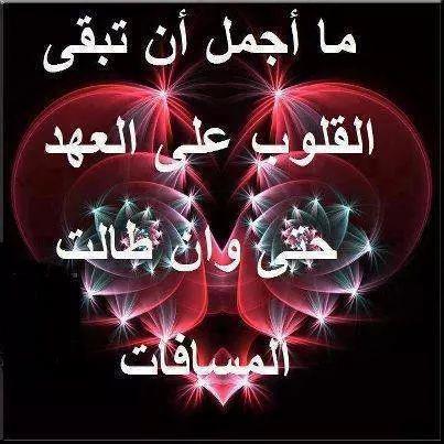 العامري (@jajaty33) on Twitter photo 