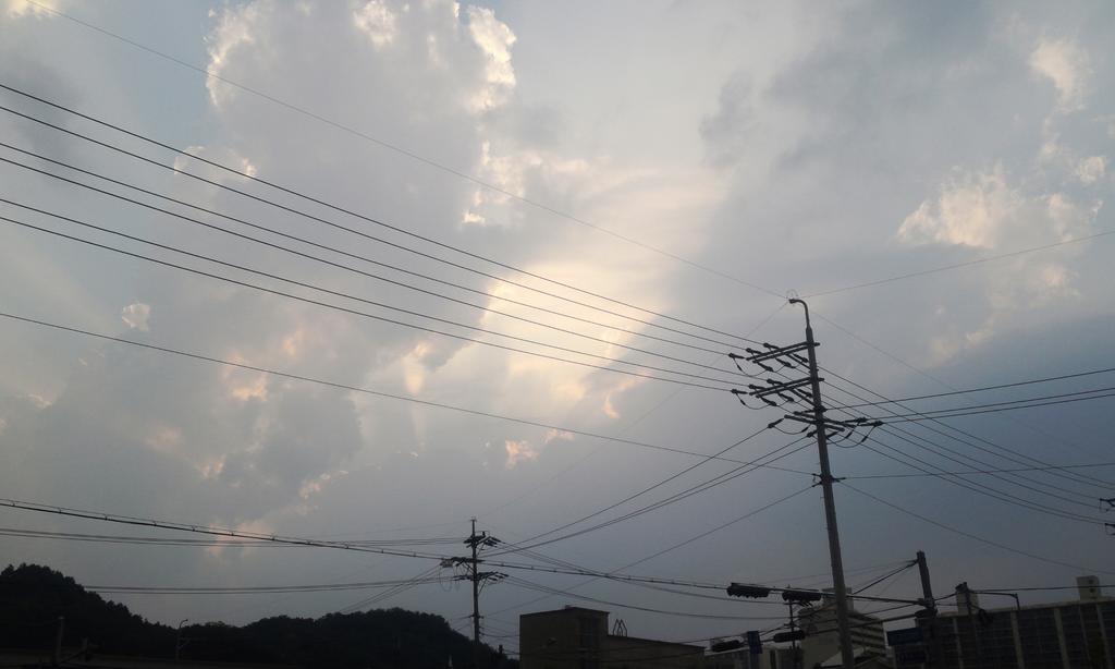 윤선희 (@oryun5212) on Twitter photo 