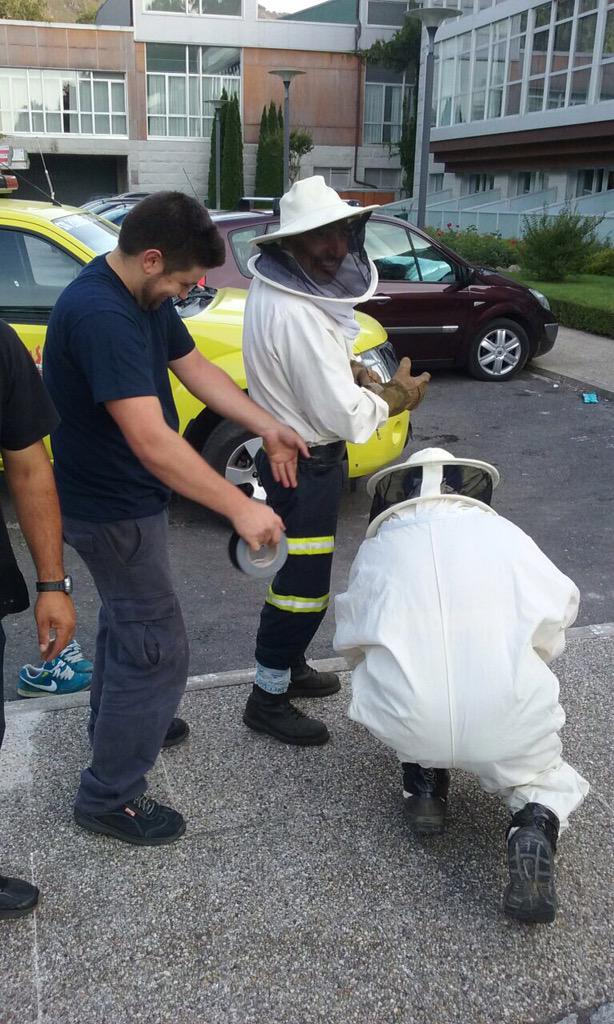 GLobios's tweet image. Retirada dun enxame en riocaldo