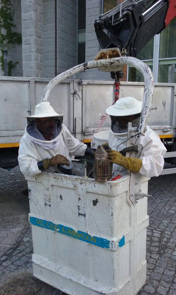 GLobios's tweet image. Retirada dun enxame en riocaldo