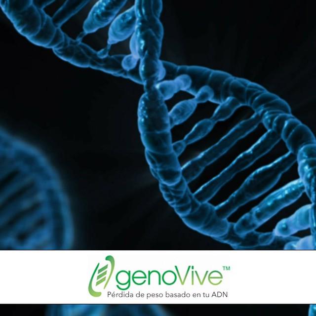 Tu ADN es lo que hace a tu cuerpo diferente. Cuando entiendas cómo funciona tu cuerpo a través de una prueba de ADN…