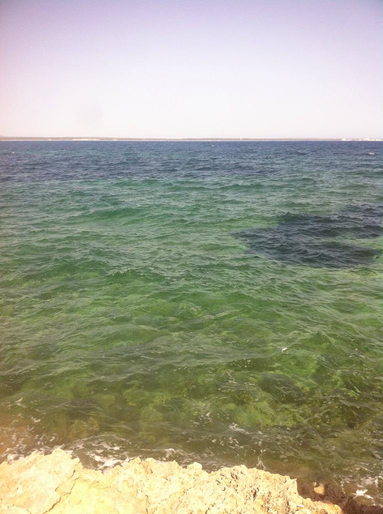 gabarri8's tweet photo. Cala doctor teta http://t.co/M4pLMpaKZA