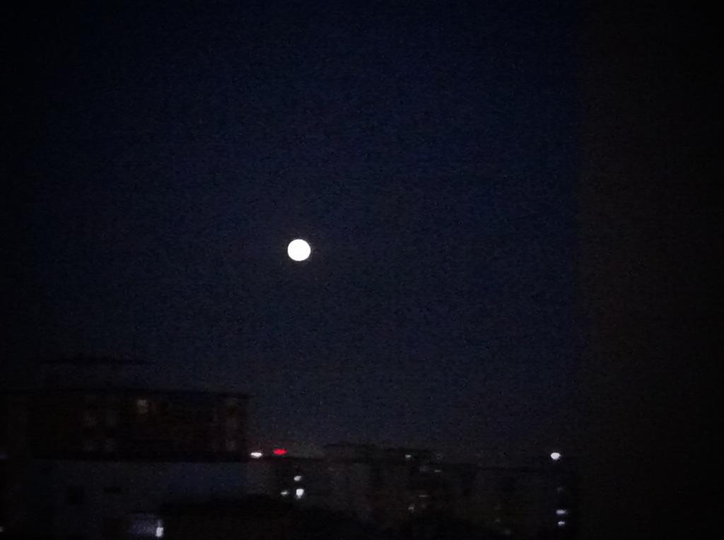 _lauraluque's tweet photo. #LunaLlena #DulcesSueños #miniprin 🌝💝 http://t.co/eDDpEOXYQA
