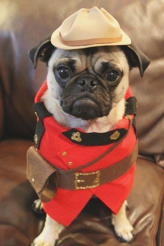 How adorable is this??