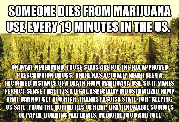 stonerjesus420's tweet image. 