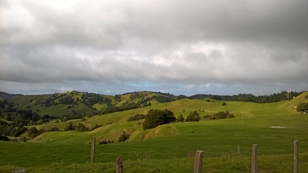 jaimed's tweet photo. Looking for the hobbits, New Zealand http://t.co/j1XJLdbgCD