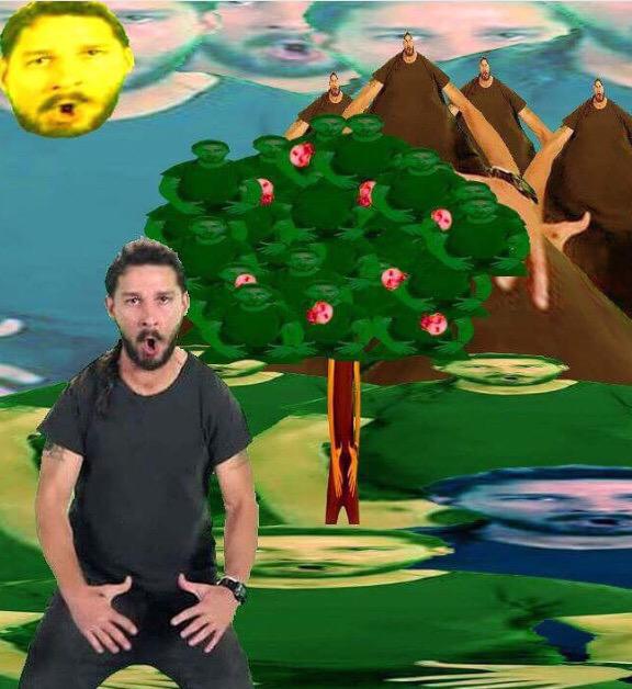 b0nechurch's tweet photo. A picture entirely of Shia LaBeouf http://t.co/zdosTwKwYO
