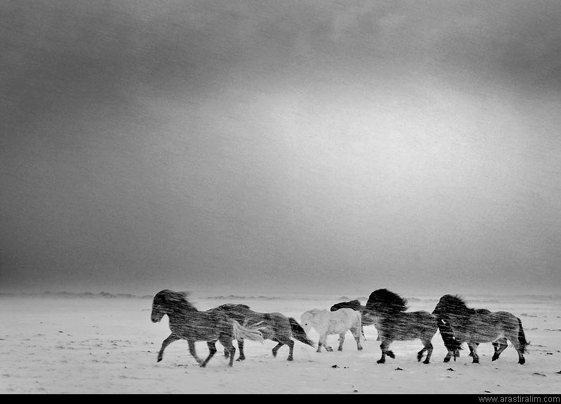 Hayatta değerli olan hiçbir şey mücadelesiz kazanılmaz. 

Jackson Brown