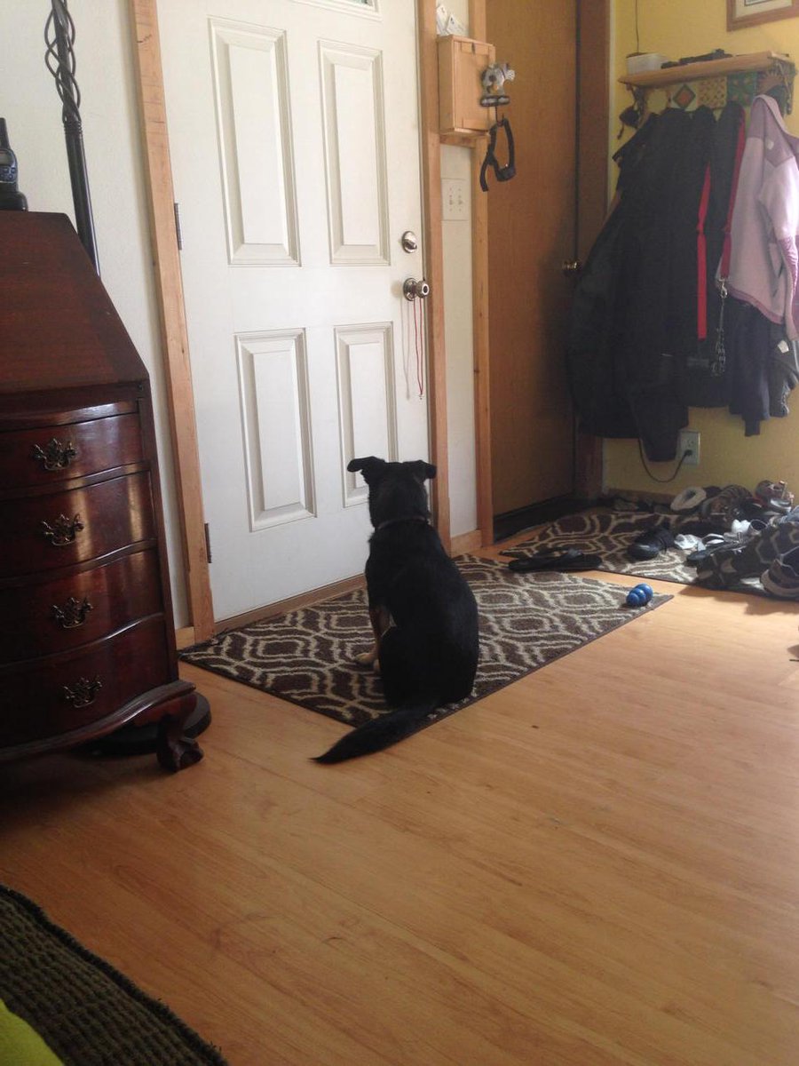 C left Rover forever again. Just like the last time she left forever. He's been like that for an hour.