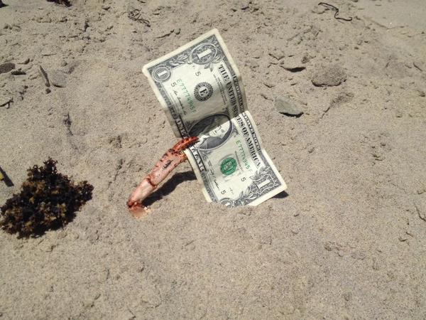 tvlerworld's tweet image. ME MILLIONTH DOLLAR