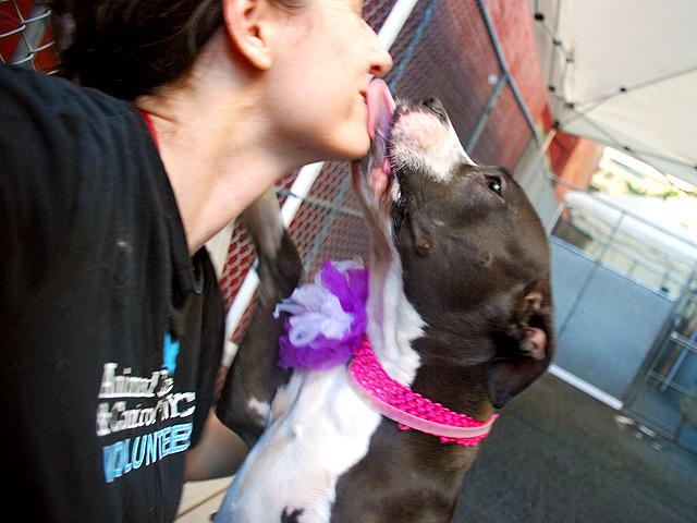 Southern Pride tweet media