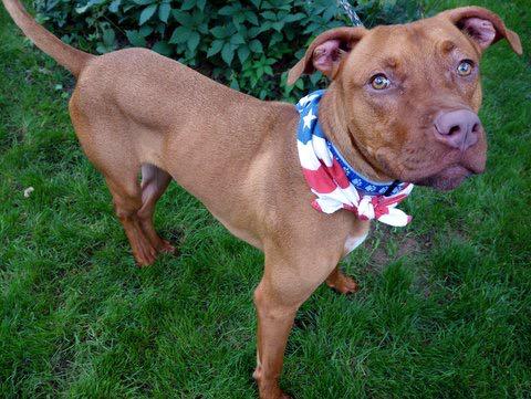 Southern Pride tweet media