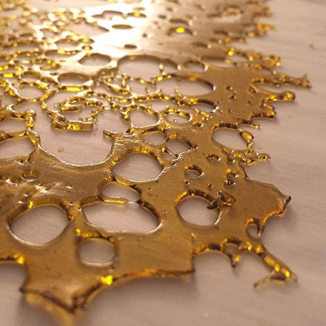 weedpraylove's tweet photo. Keep it OG. #Stellar710 by stellar710 http://t.co/2T8b9YryAn