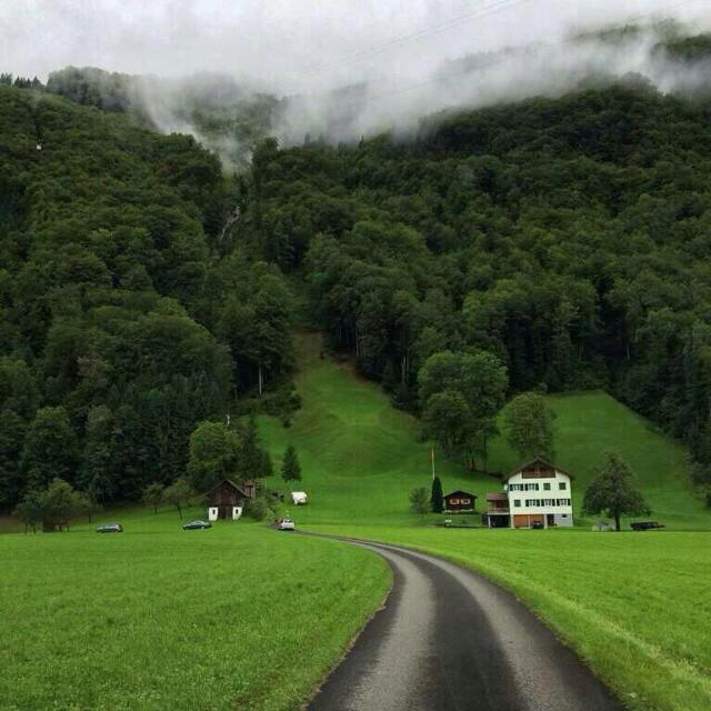 ComWccw's tweet image. 