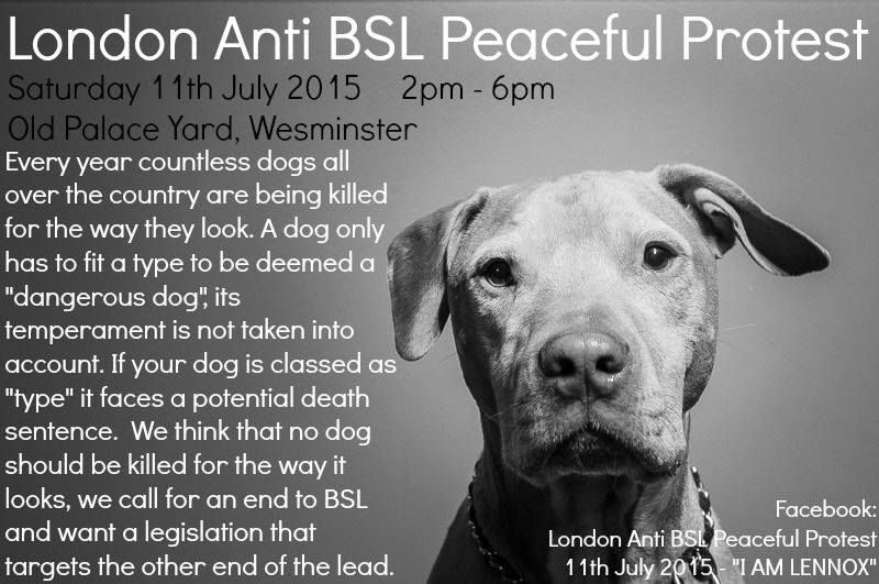 Lennox - Murdered By @Belfastcc tweet media