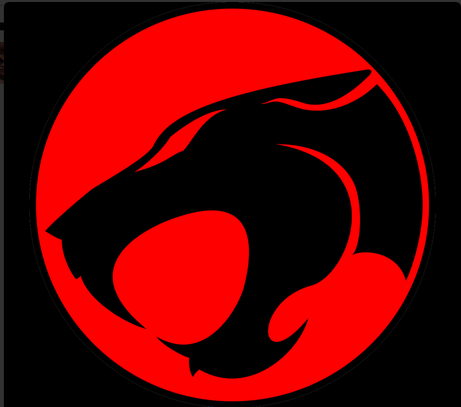 KishaMavryck's tweet image. Oh, universe. You got me feeling like a THUNDER CAT. #2015vibes #adventure #artofreedom