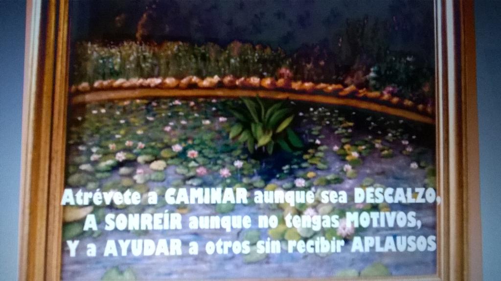 Hlr2906Hilary's tweet photo. #FFcompys @AgustinBotines @Anabell74Ana @xosetwi @raquelrz1 @antracita1 @LivAntuan  Buen dia y finde! Abrazos y besos http://t.co/SFe0bwMJcO