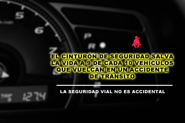 JQMoficial's tweet photo. Entrada libre
Taller "LA SEGURIDAD VIAL NO ES ACCIDENTAL"
Julio 4, 10:45 hrs.
Sala De Artes Bosque De Tlahuac http://t.co/q9fdQpKEPH