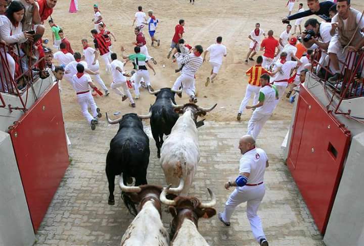 Javitaurino__'s tweet photo. Solo faltan 3 dias 7 horas y 30 min para San Fermin #YaFaltaMenos  #Pamplona http://t.co/UVt7P3lTja