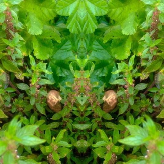 WolfandEYE's tweet photo. Do U believe in the source behind your dreams...??? that's pure ilusión... http://t.co/NMdPS6ciSX