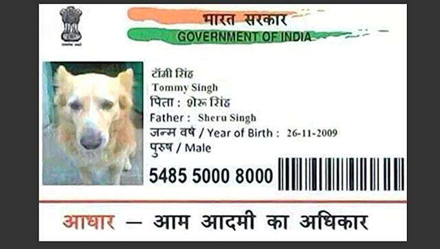 htTweets's tweet photo. 'He' was arrested for getting an #Aadhaar card for a dog http://t.co/XMFylOhbOn http://t.co/dgBUqRcv2W