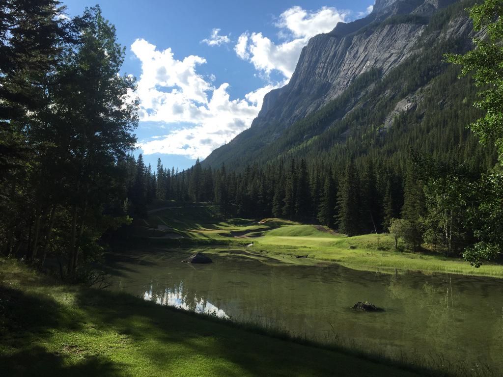 Luke Elvy tweet media