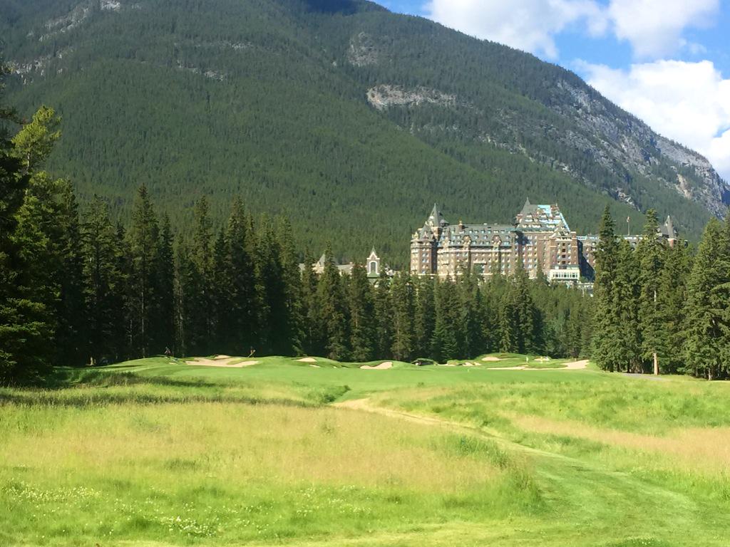 Luke Elvy tweet media