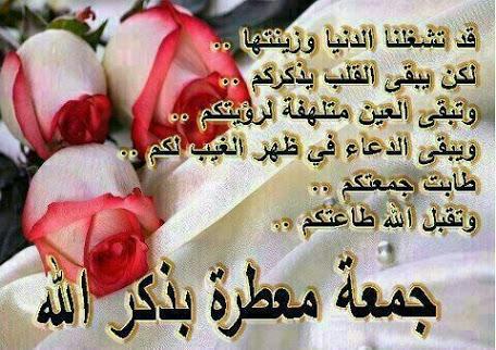 🌸لا إله إلا الله محمد رسول الله 🌸