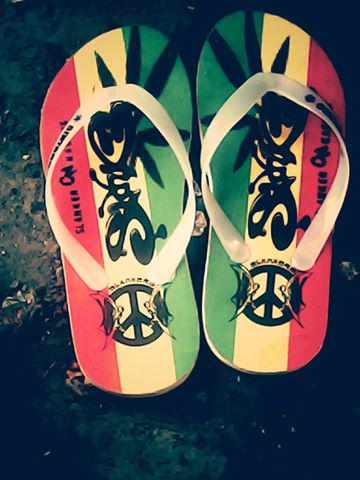 PlonsD's tweet image. 