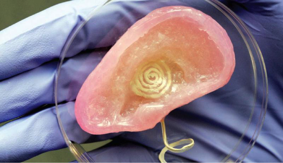 ForbesTech's tweet photo. Princeton scientists used 3D printing to create a bionic ear: http://t.co/tRUOuPAnwr http://t.co/CV64EZ0s2o